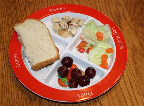 plate helps kids eat  food groups wholistic woman