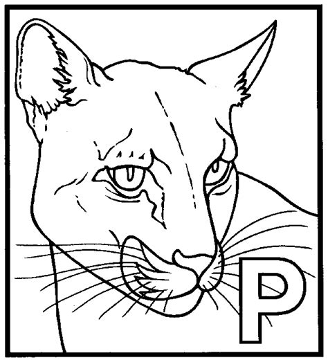 panther coloring page animals town animals color sheet panther