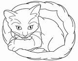 Coloring Kitten Pages Cat Realistic Cute Template Printable Color Baby Templates Shape Sleeping Sheet Animal Colouring Kittens Clipart Cartoon Print sketch template
