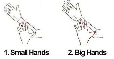 science says the length of your fingers can predict your personality