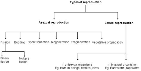Cbse Class 10 Biology Reproduction Introduction Of