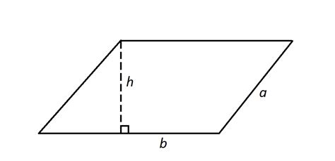 find  area   parallelogram ssat middle level math