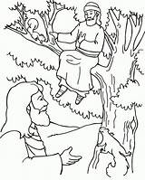 Zacchaeus Bible Zaqueo Zaccheaus Zaqueu Pintar Zacheus Vbs Biblia Preschoolers Sycamore Acessar Sheets sketch template
