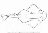 Shark Angel Draw Drawing Step Clipart Clipground sketch template