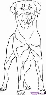 Rottweiler Coloring Pages Dog Drawing Outline Drawings Step Markings Colors Puppy Draw Completely Done Come Should When Animal Printable Getdrawings sketch template