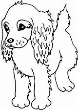 Coloring Spaniel Puppy Pages Puppies Printable Golden Cocker Dogs Retriever Print Springer Boykin Dog Drawing Kids Colouring Sheets Baby Lab sketch template
