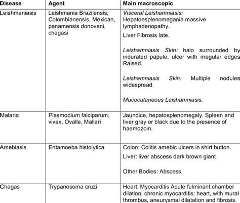 4 Protozoal Infectious Diseases Download Table