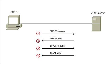 dynamic host configuration protocol dhcp ccna