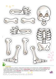 skeleton cut  paste  printable school pinterest skeletons