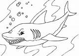 Shark Coloring Printable Pages Large sketch template