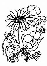 Coloring Flowers Pages Flower Coloringpages1001 Plants sketch template