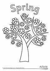 Spring Seasons Tree Colouring Four Pages Clipart Coloring Season Drawing Sheets Activity Trees Summer Printable Village Worksheet Preschool Winter Simple sketch template
