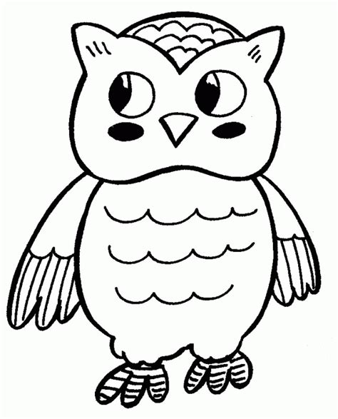pictures  owls  print coloring home