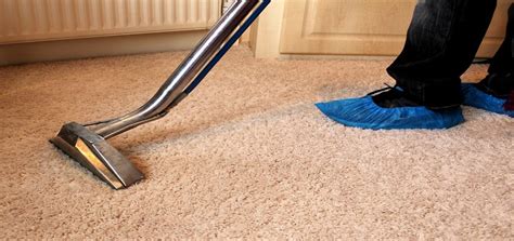 carpet cleaning services london glory clean