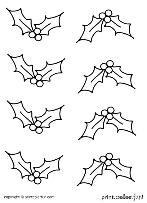 holly coloring page print color fun