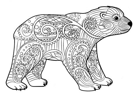 coloring page bear png sport station futsal