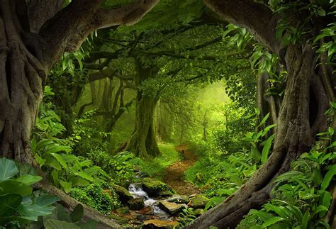 fairy tale forest background   hd wallpaper wallpapertip