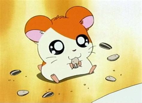 images  hamtaro  pinterest  childhood coloring  hamsters