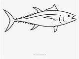 Tuna sketch template
