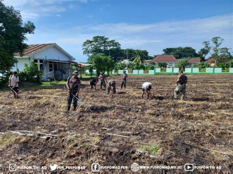 Kegiatan Pembukaan Lahan Dan Penanaman Bibit Jagung Oleh Subdenpom Xvi