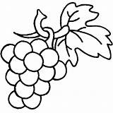 Grapes Coloring Pages Drawing Berry Family Color Bunch sketch template