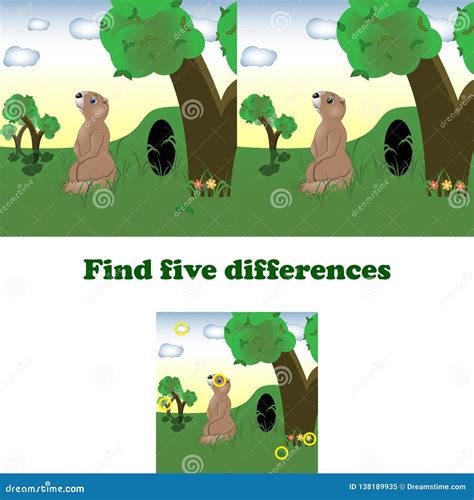 vector illustration find  differences stock vector illustration