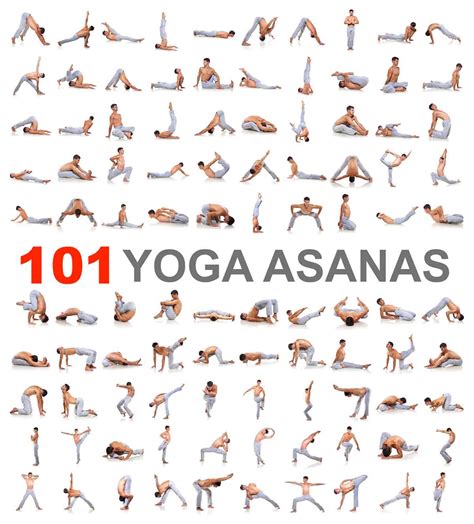 101 Popular Yoga Poses For Beginners Intermediate And