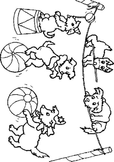 circus coloring page  coloring kids