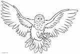 Coloring Pages Owl Printable Flying Printables Template Print Cool2bkids Owls Kids Color Getcolorings sketch template
