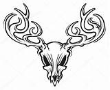 Deer Skull Drawing Stock Vector Skulls Getdrawings Illustration sketch template