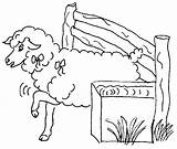 Fattoria Disegni Mouton Owce Kolorowanki Coloriages Colorare Megghy Domestic Ovejas Shaun Tractor Paginas Buzz2000 sketch template