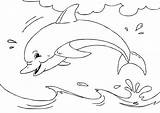 Dolfijn Delfino Delfin Malvorlage Dauphin Desenhos Golfinhos Delfines Colorir Dibujo Ausmalbilder Dolfijnen Golfinho Ausmalbild Ausdrucken Kleurplaten Stampare Tonina Dolphin sketch template