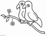 Hewan Sketsa Gambar Burung Kelinci Marimewarnai Pipit sketch template