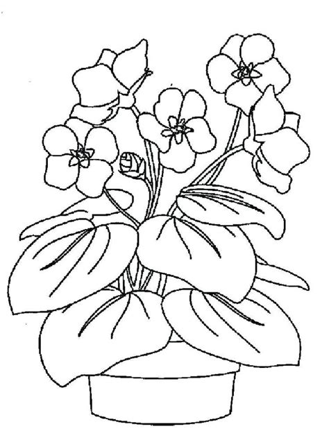 coloring violet flower coloring page bunny coloring pages flower