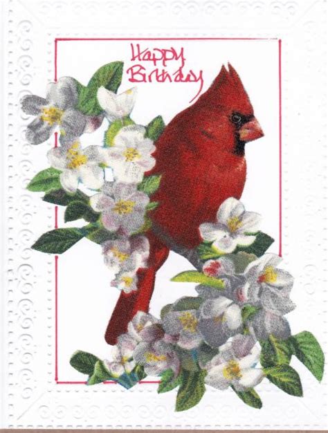 cardinal birthday card
