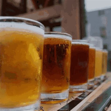 bier drink gif bier drink drinking discover share gifs