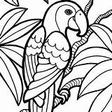 Coloring Parrot Pages Bird Printable Clipart Jungle Animals Kids Sheet Wild Getdrawings Panda Clipartpanda sketch template
