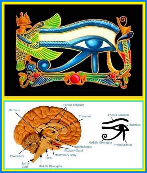 How To Raise Your Vibration The Eye Of Horus Ra