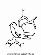 Schwalbe Zum Vogel Ausmalen Vliegende Kleurplaat Voegel Ausmalbild Vögel sketch template