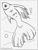 Coloring Pages Fish Betta Hookfang Color Getcolorings Getdrawings sketch template