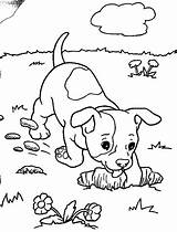 Colorat Animale Catelusi P07 Desene Planse Primiiani Puppy Cele Cauta Isteti Prin Copii sketch template