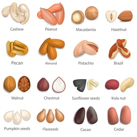 huge list     types  nuts   eat  cook