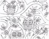 Uil Owls Kleurplaten Beste Volwassenen Kleurplaat sketch template
