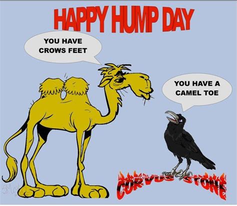hump day jokes happy hump day jokes and misc stuff xtremeidiots clothes pick up lines