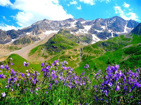 resultat de recherche dimages pour montagne fleurie landscape nature wallpaper purple