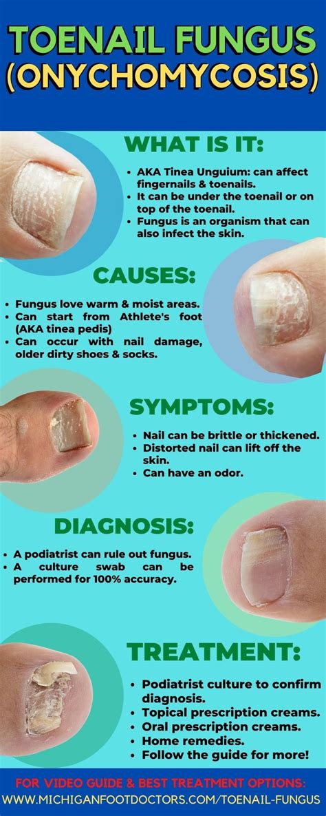 terms podiatrist   describe toenails