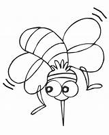 Mosquito Insects Insect Getcolorings sketch template