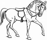 Cavalos Cheval Clipartmag Bridle Saddle Equino Coloring Colorindo Adulte sketch template