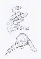 Anatomy Hand sketch template