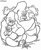 Gorilla Coloring Animals Tarzan Drawing Kb sketch template